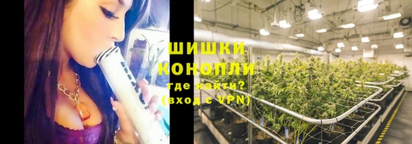 spice Осинники